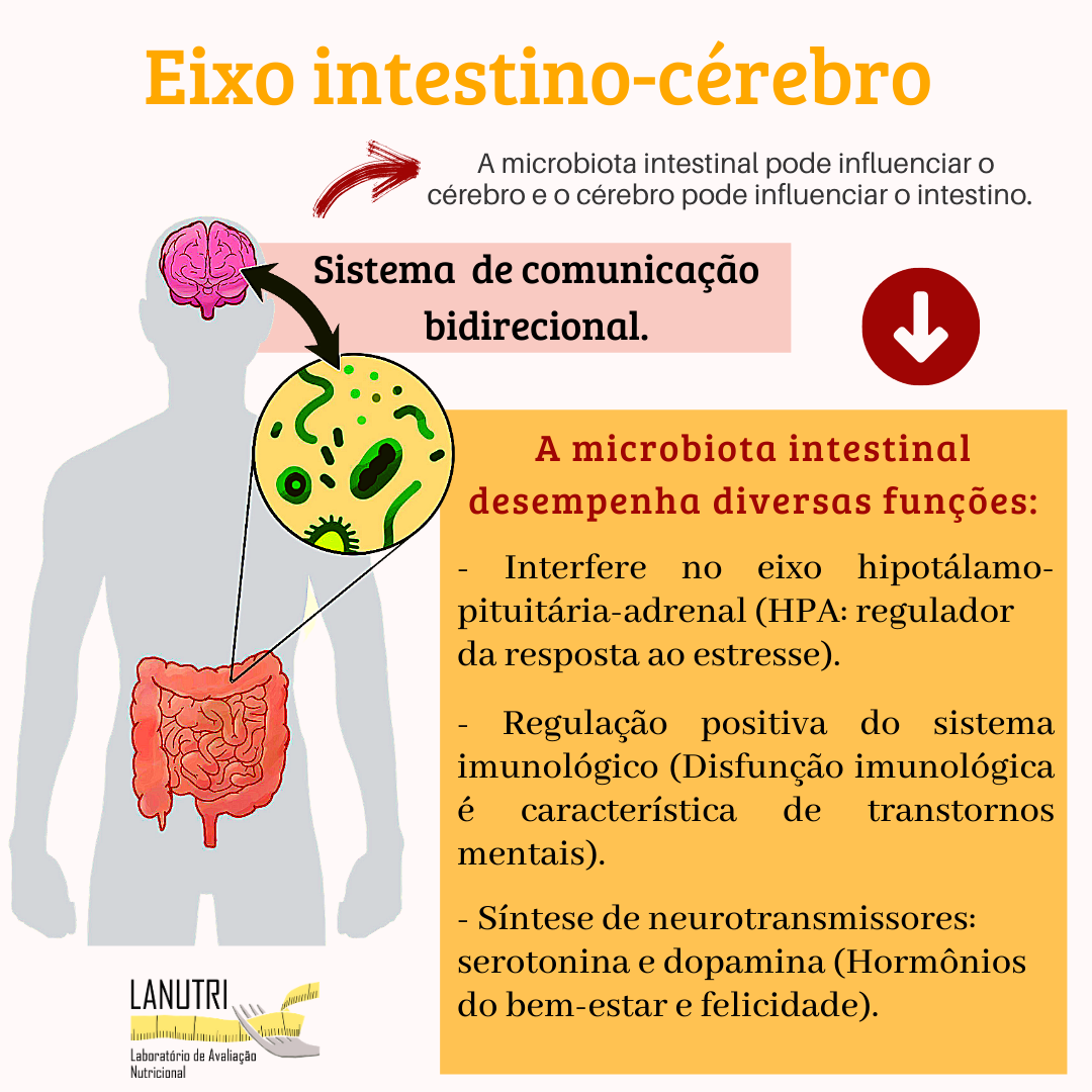 Saúde mental e Microbiota intestinal Qual a relação Laboratório de